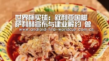 世界杯买球:叙利亚国脚萨利赫宣布与建业解约 曾在12强赛中绝平国足(图4) 买球站